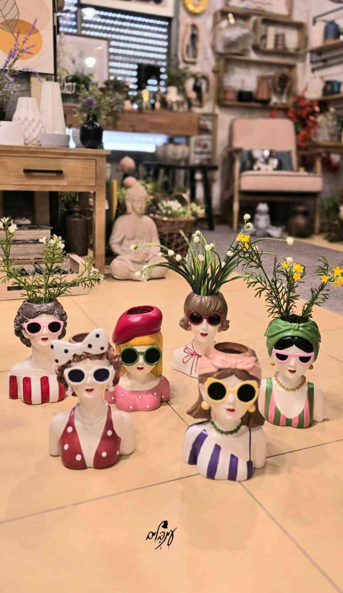 אגרטל גברת מגונדרת