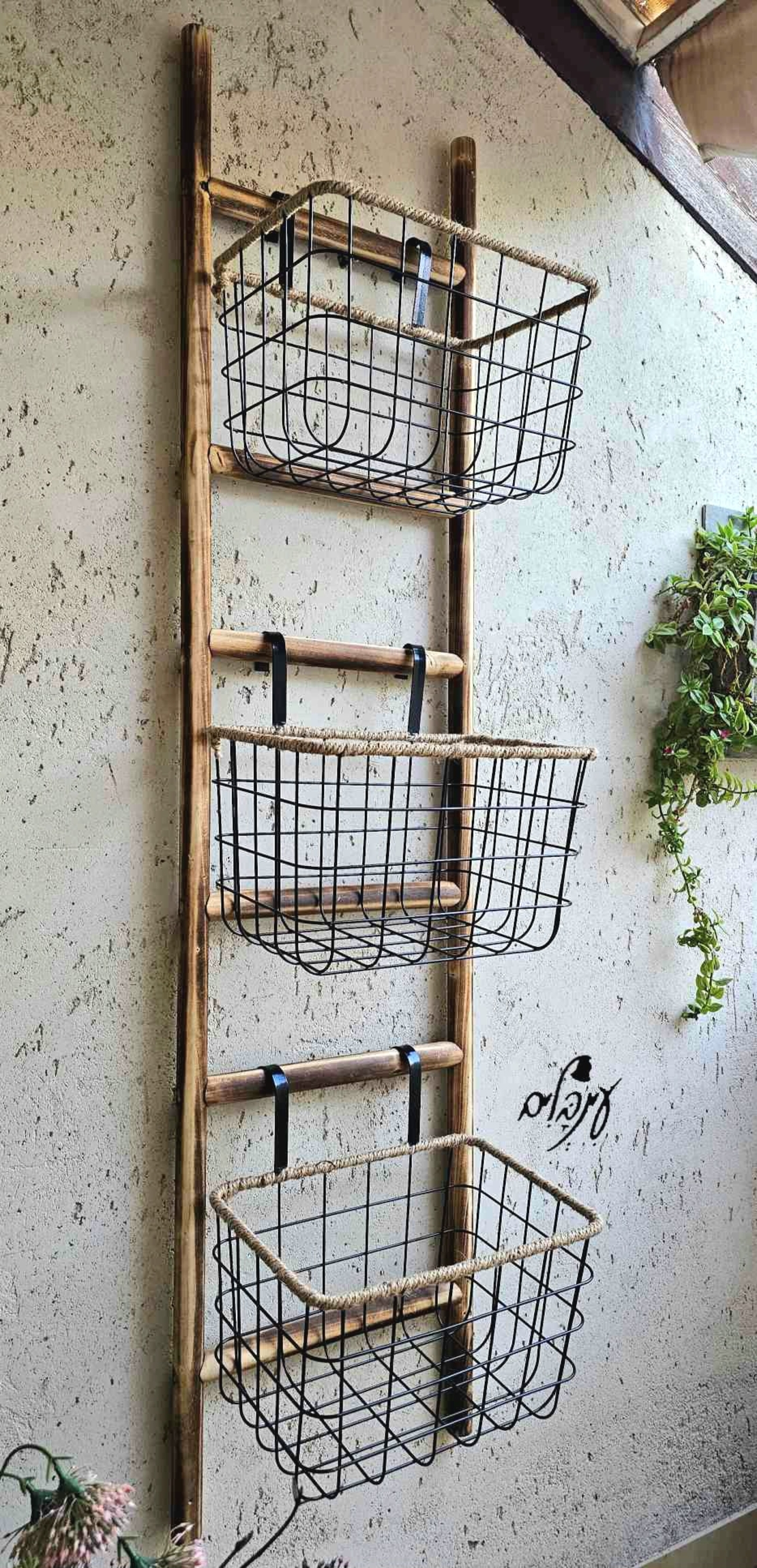 סולם סלסילות ברזל