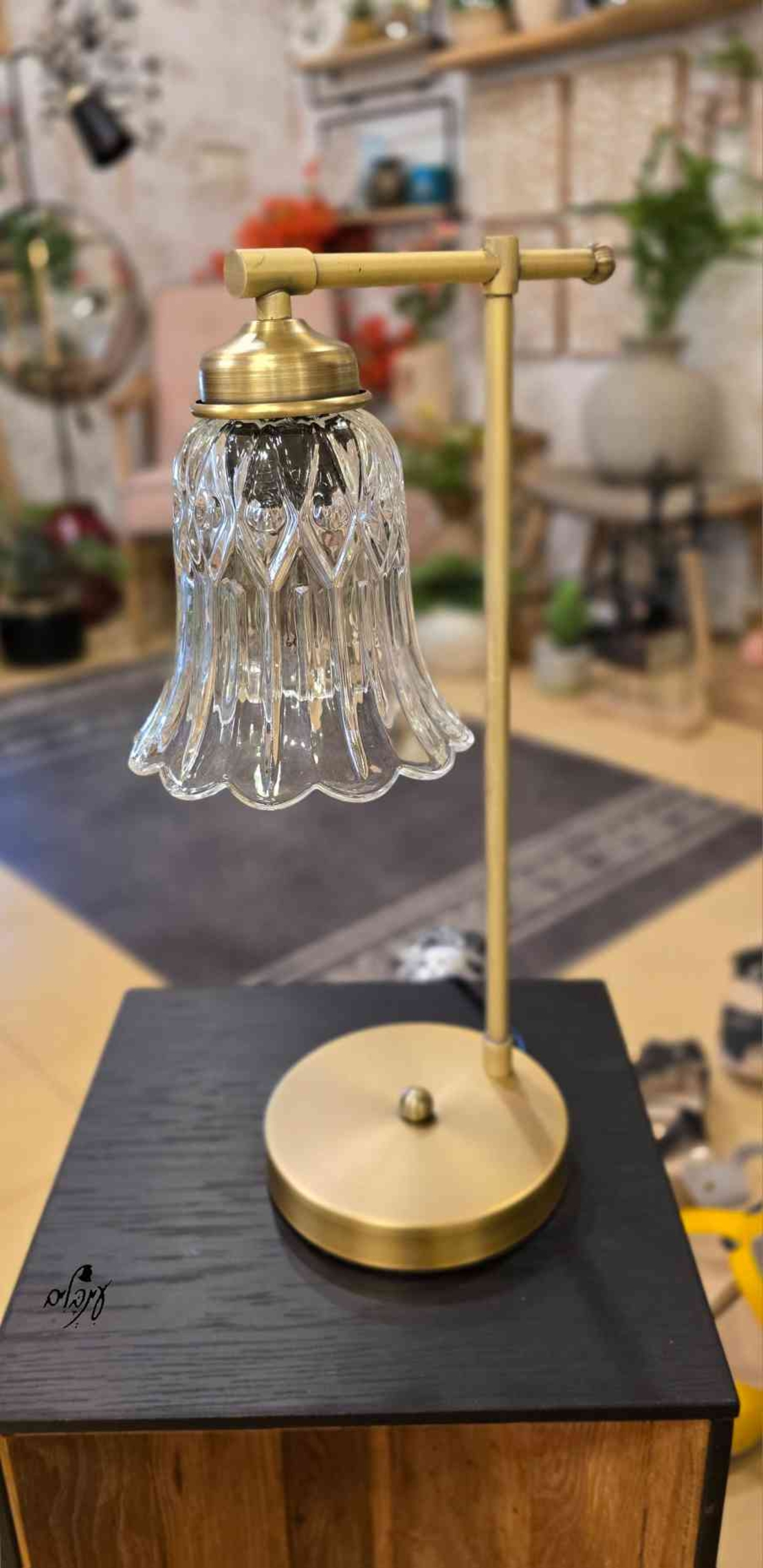 מנורת שירי זכוכית קוקיז