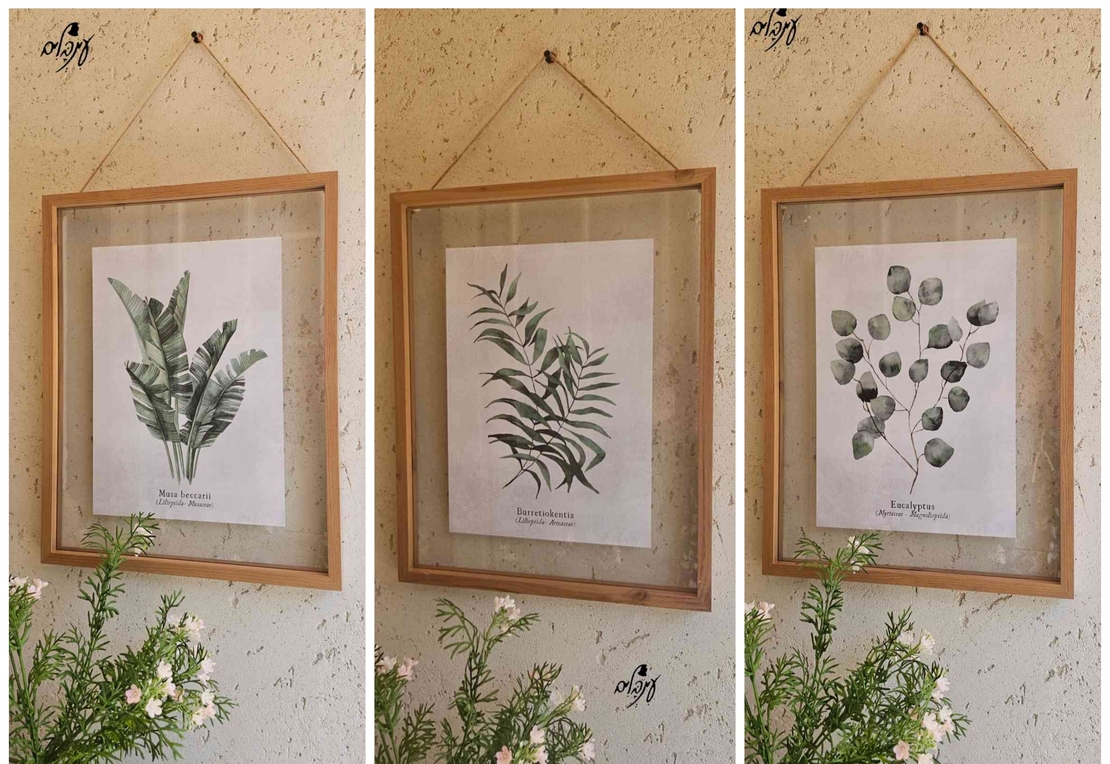 שלישיית תמונות זכוכית עלים