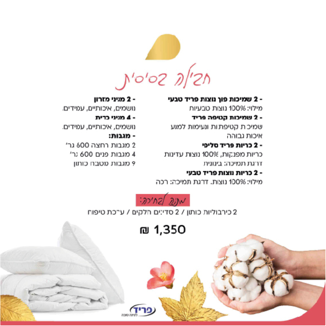 חבילה בסיסית