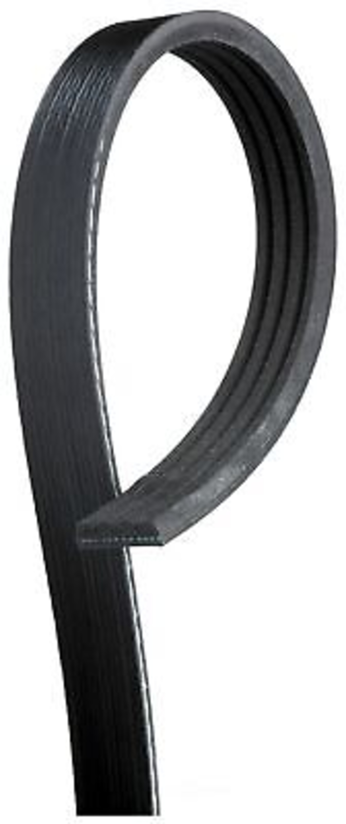 רצועה מנוע 4PK1355