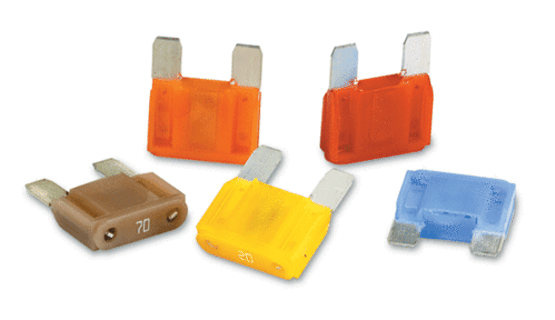 נתיך אמריקאי מקסי