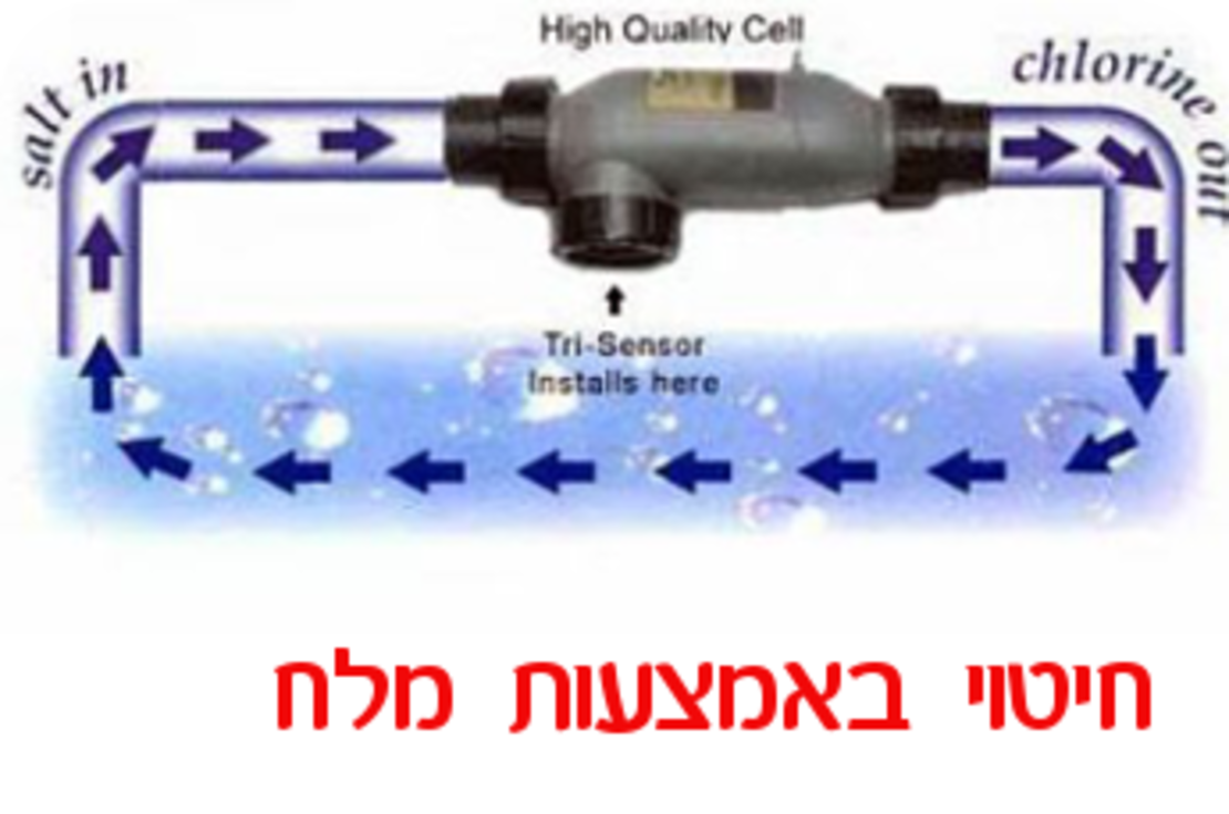 חיטוי במלח