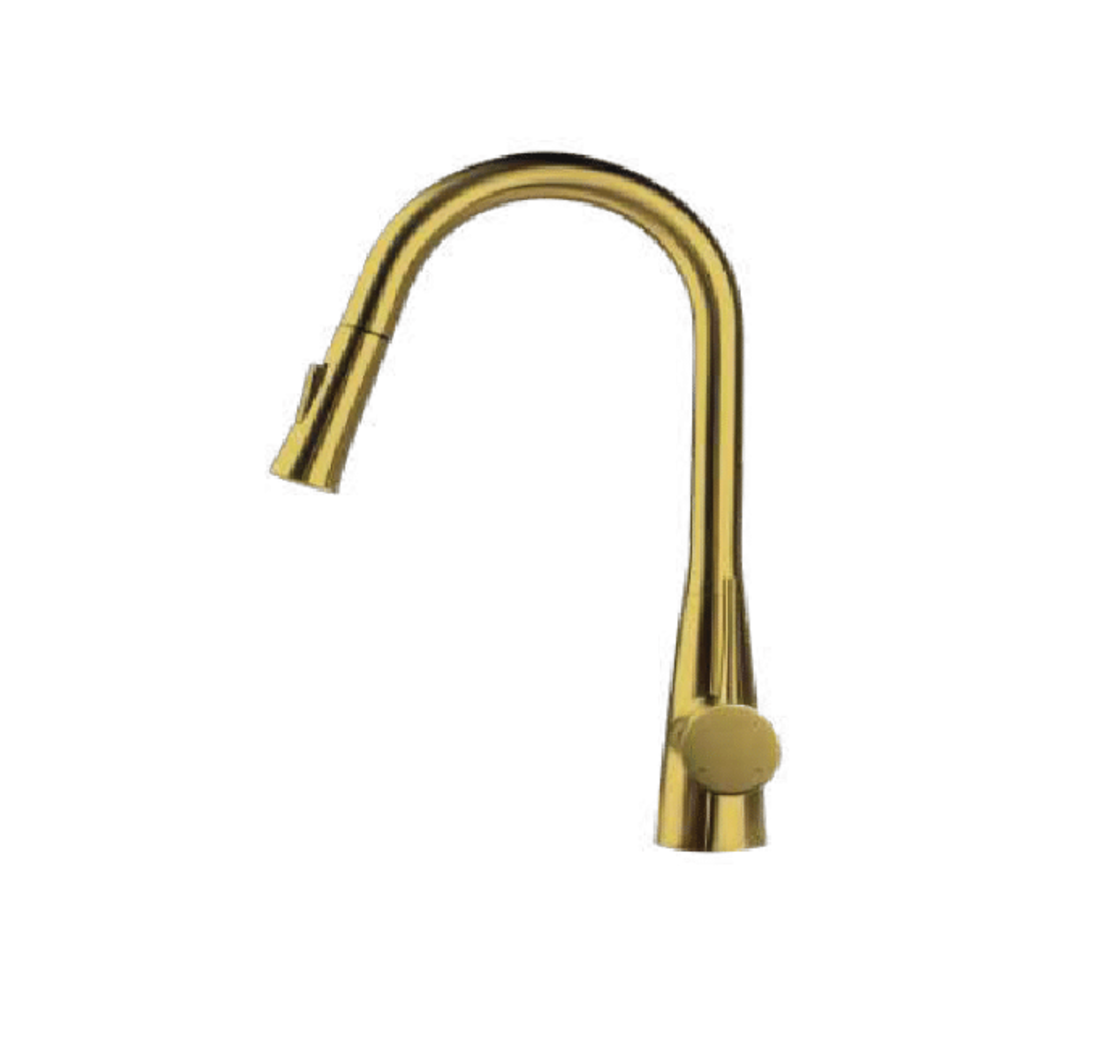 ברז נשלף מוזהב מקלח 2 מצבים Swiss Aqua 678103 יועם