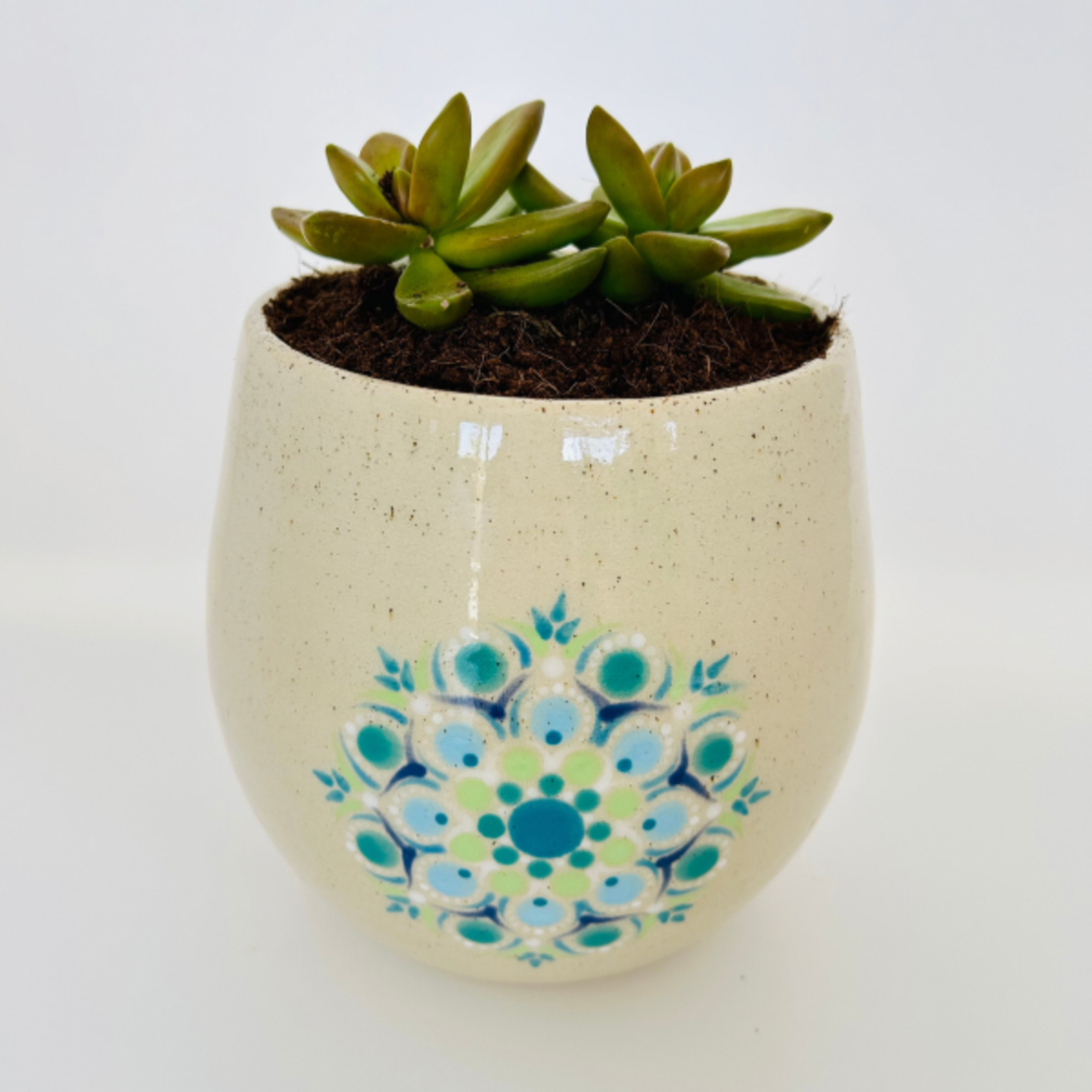 Special | Planter
