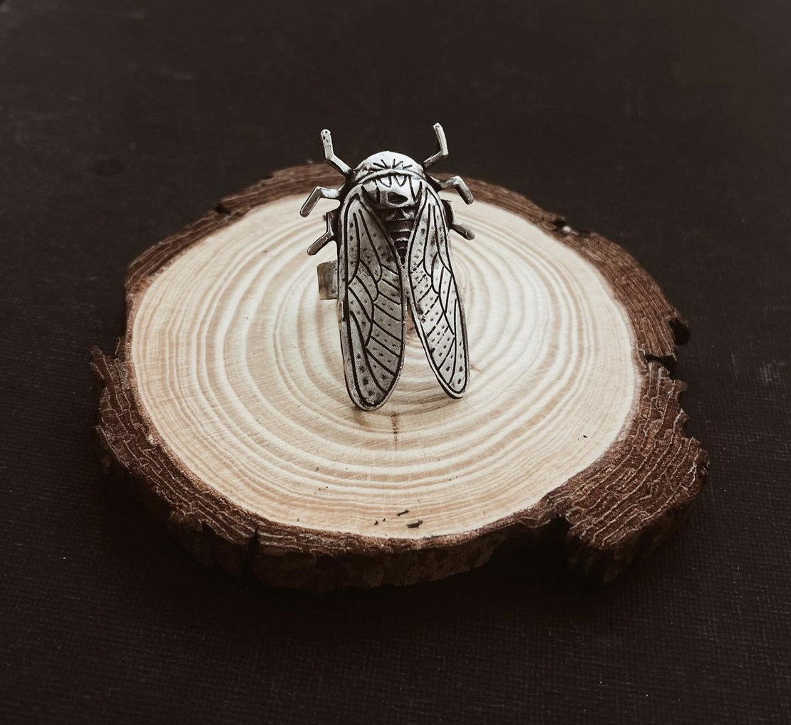 Cicada ring