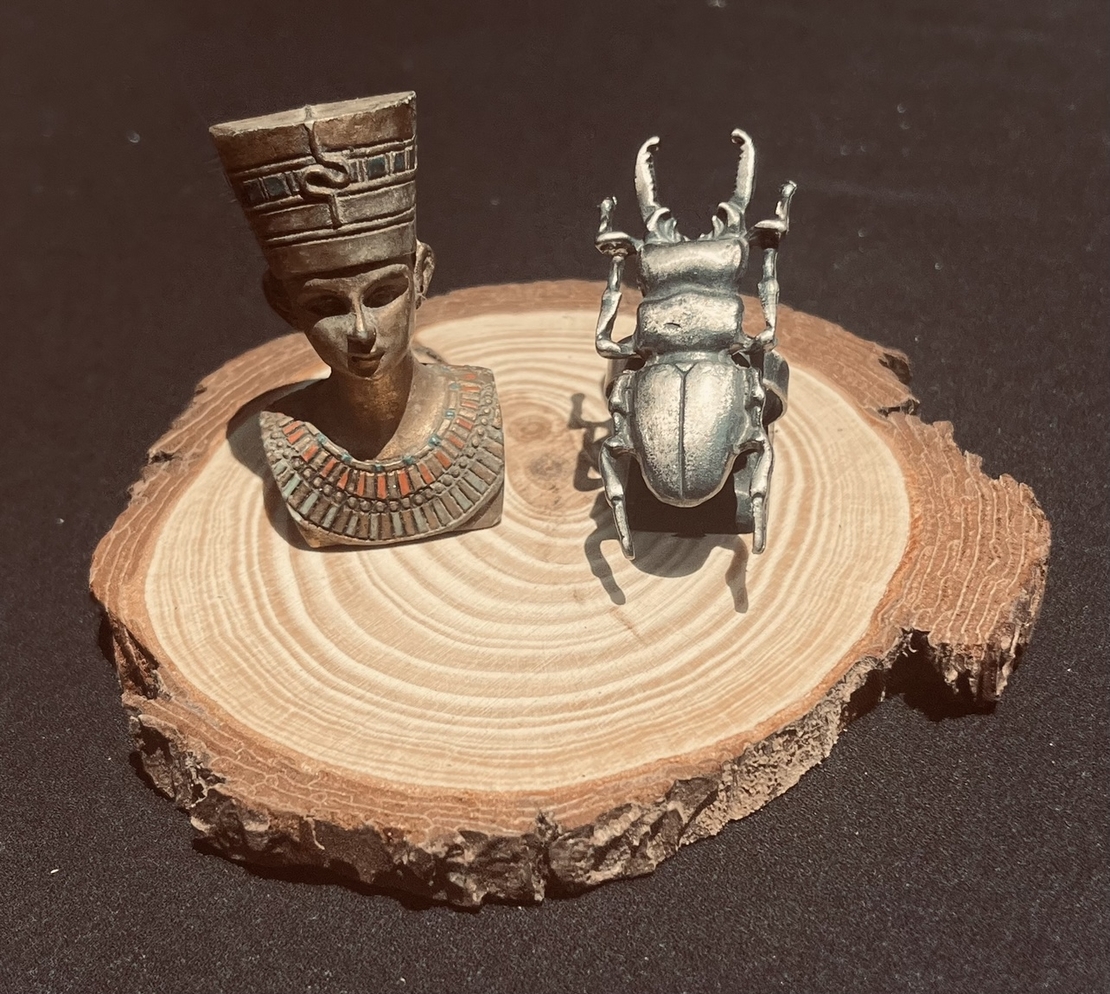 Bug ring