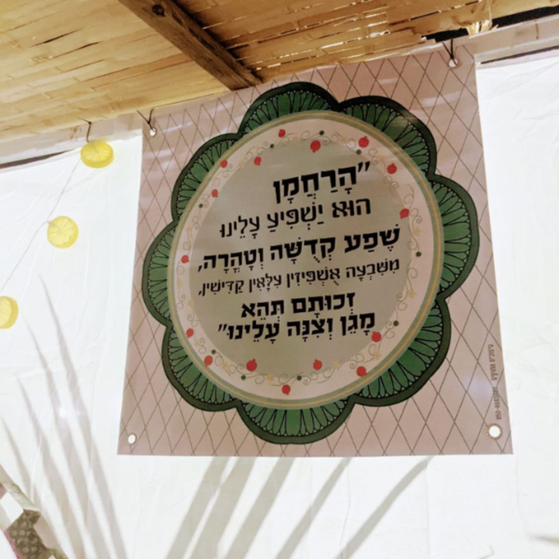 שמשונית- דגם 