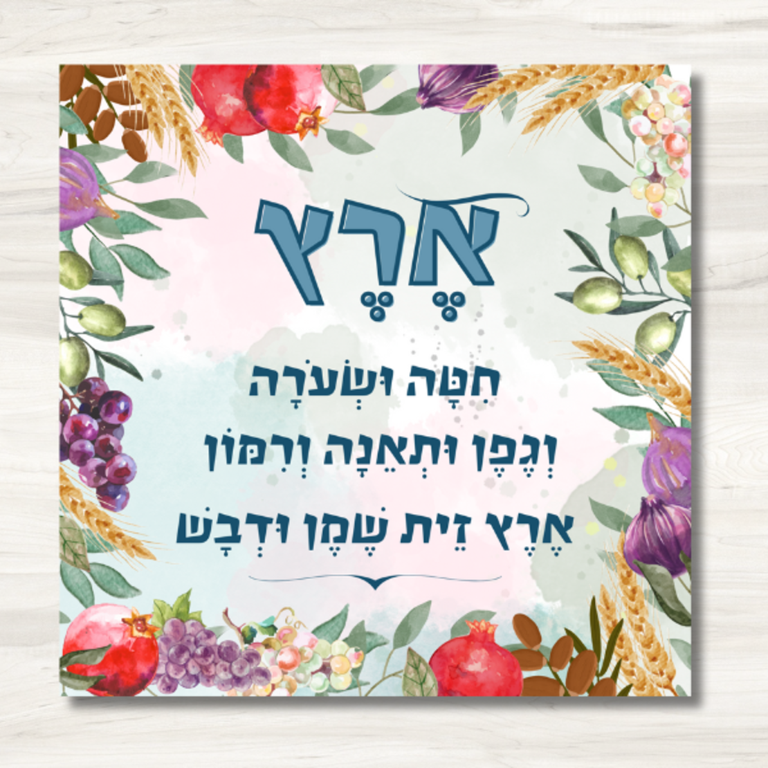 שמשונית- דגם 