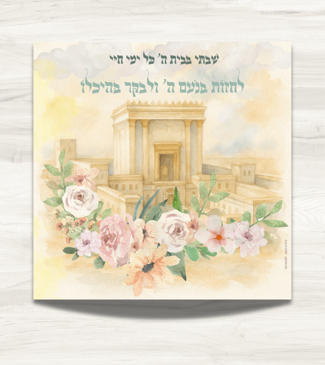 שמשונית-דגם 