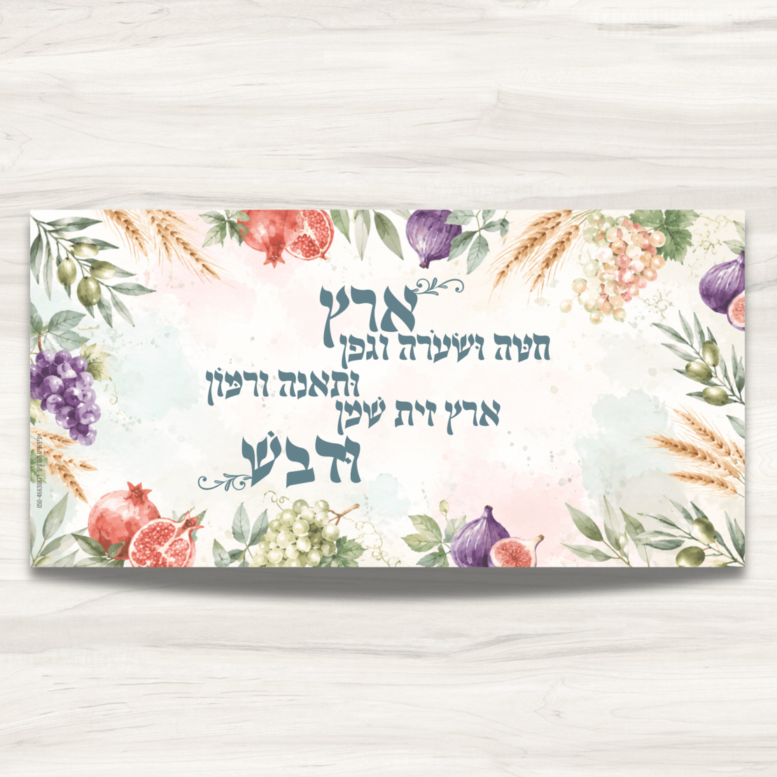 שמשונית- דגם 