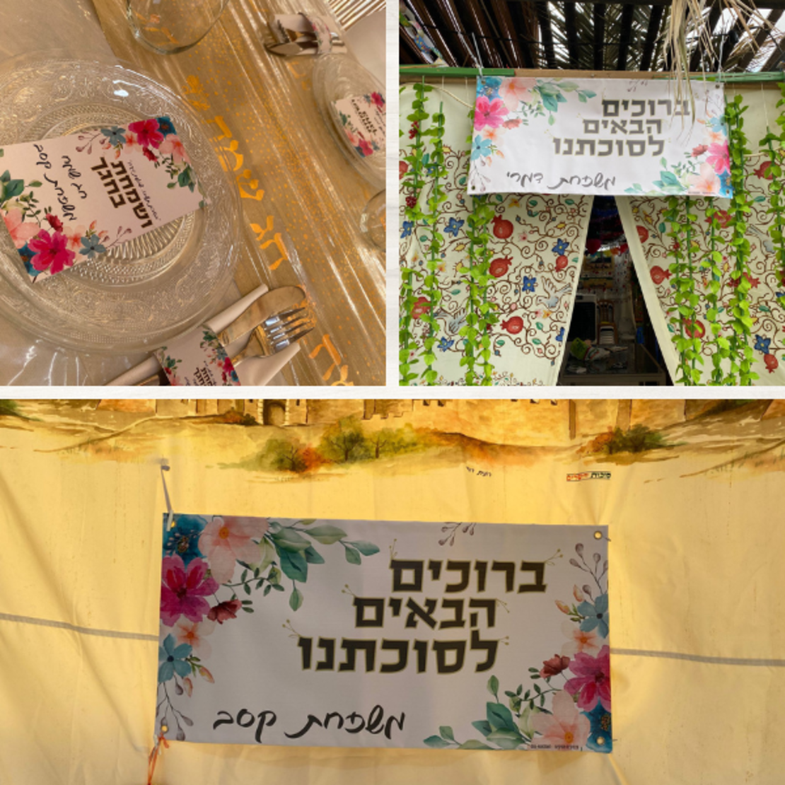 שמשונית- דגם 