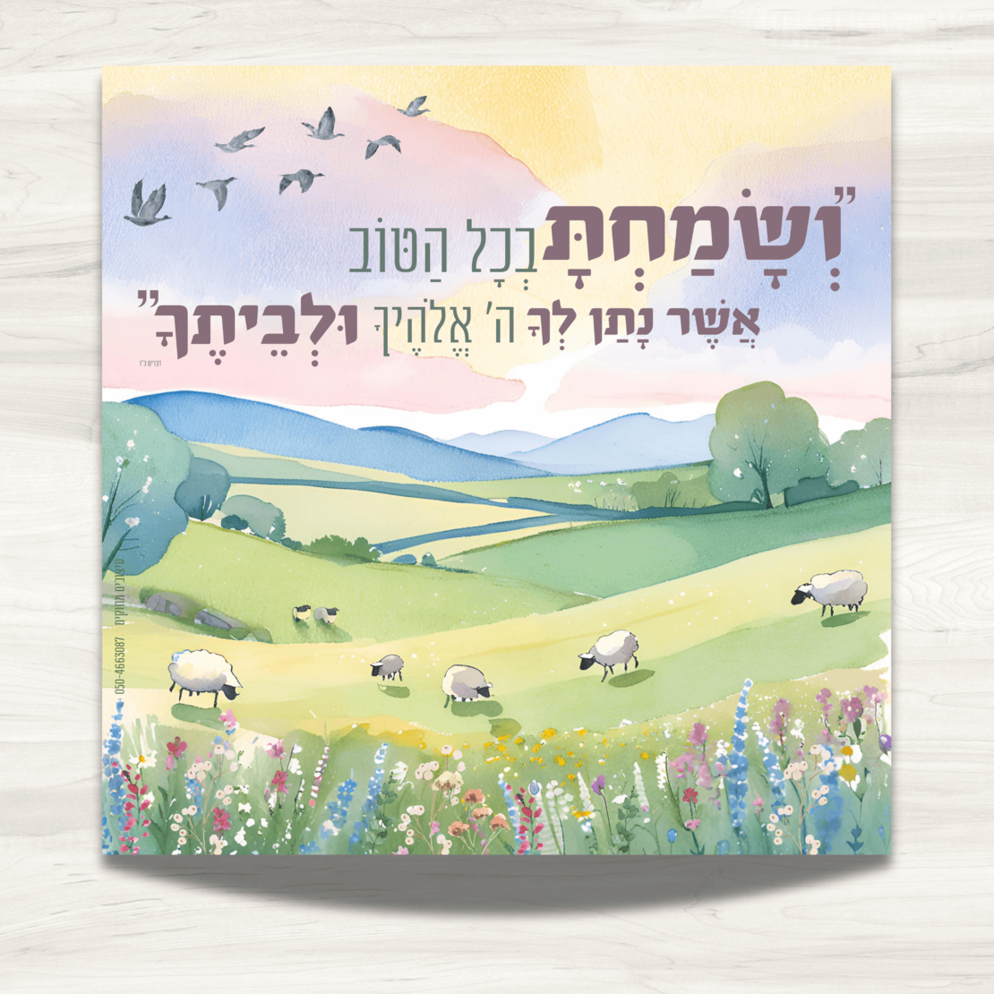 שמשונית- דגם 