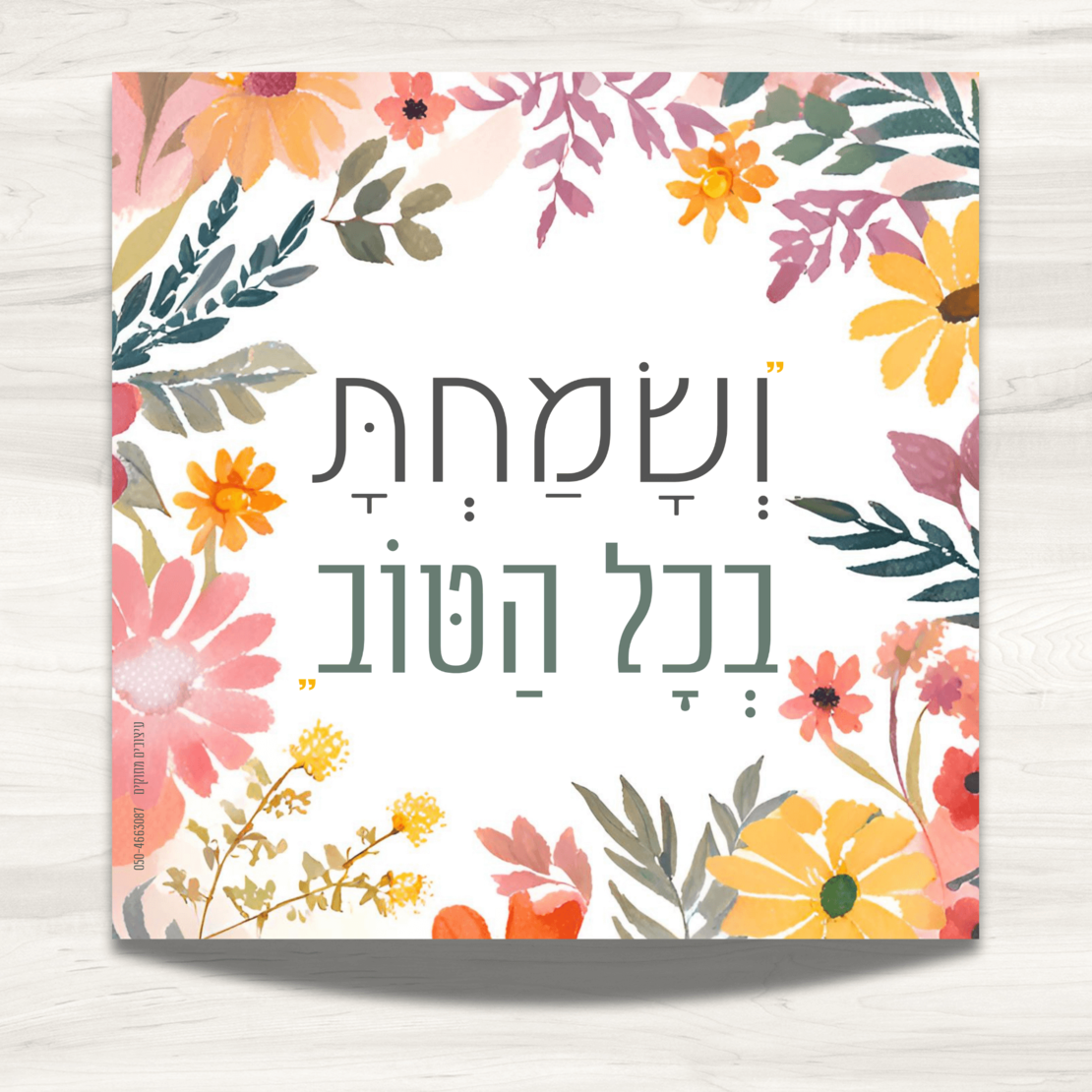 שמשונית- דגם 