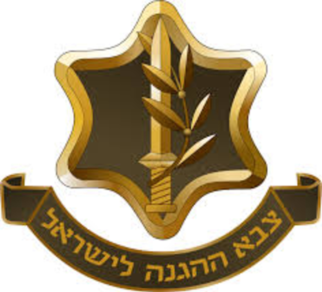 עוגה מעוצבת חרבו דרבו צה״ל (M)