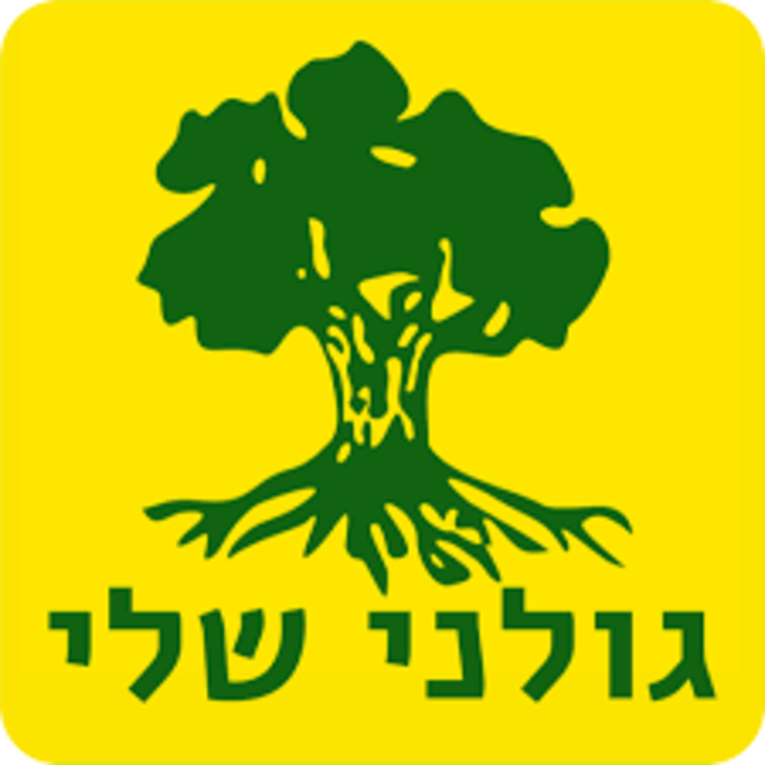 עוגה מעוצבת חרבו דרבו צה״ל (M)