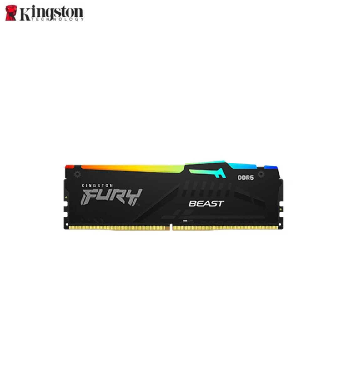 16GB Kingston FURY Beast DDR5 RGB Memory