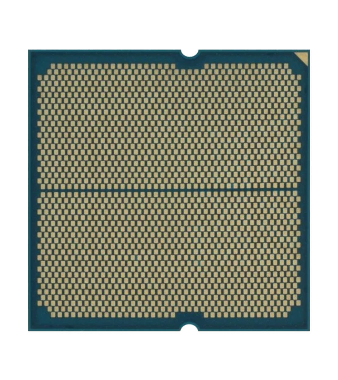 AMD Ryzen 5 9600X Tray up to 5.4GHz 6 cores Radeon Graphics