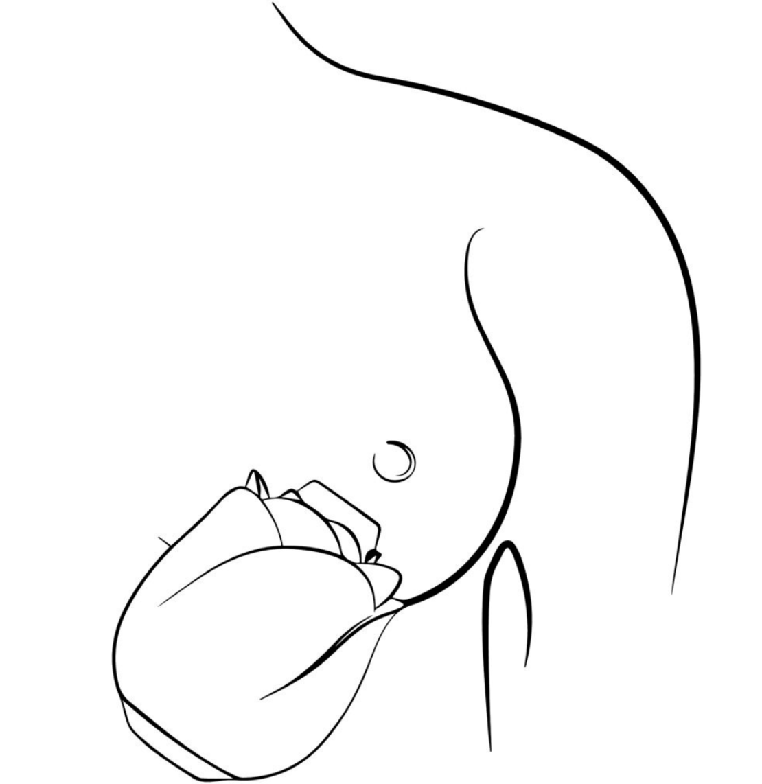 יונק הדגדגן זוהר-ROMP