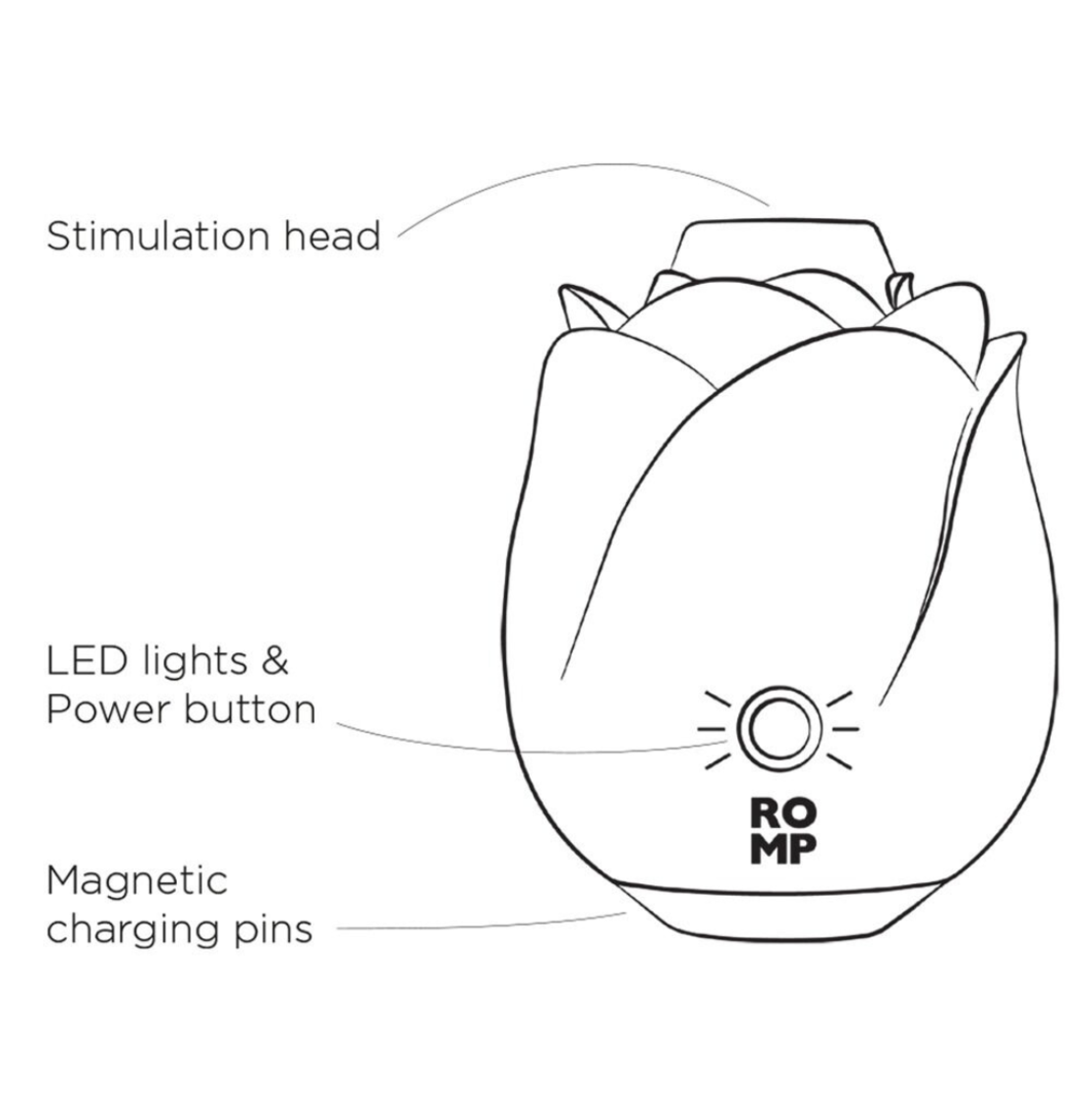 יונק הדגדגן זוהר-ROMP