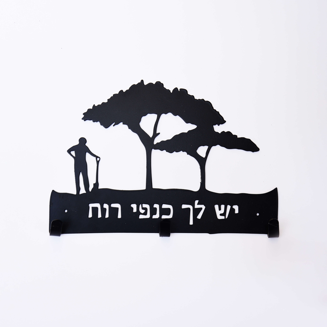 יש לך כנפי רוח
