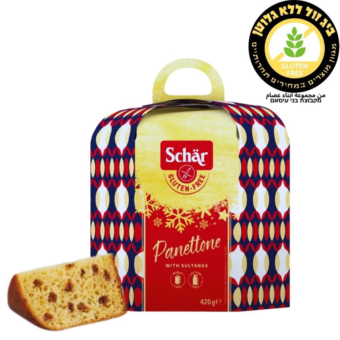 كعكة شار Panettone