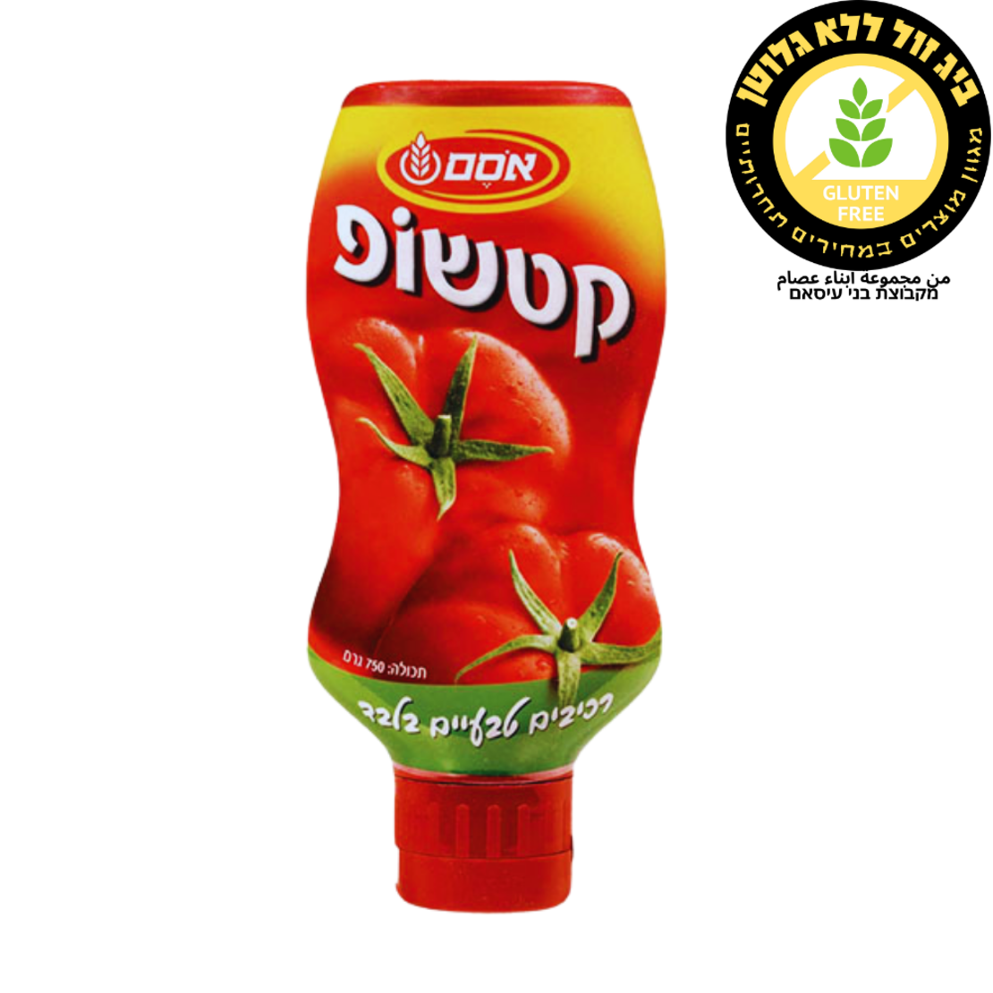 קטשופ אסם