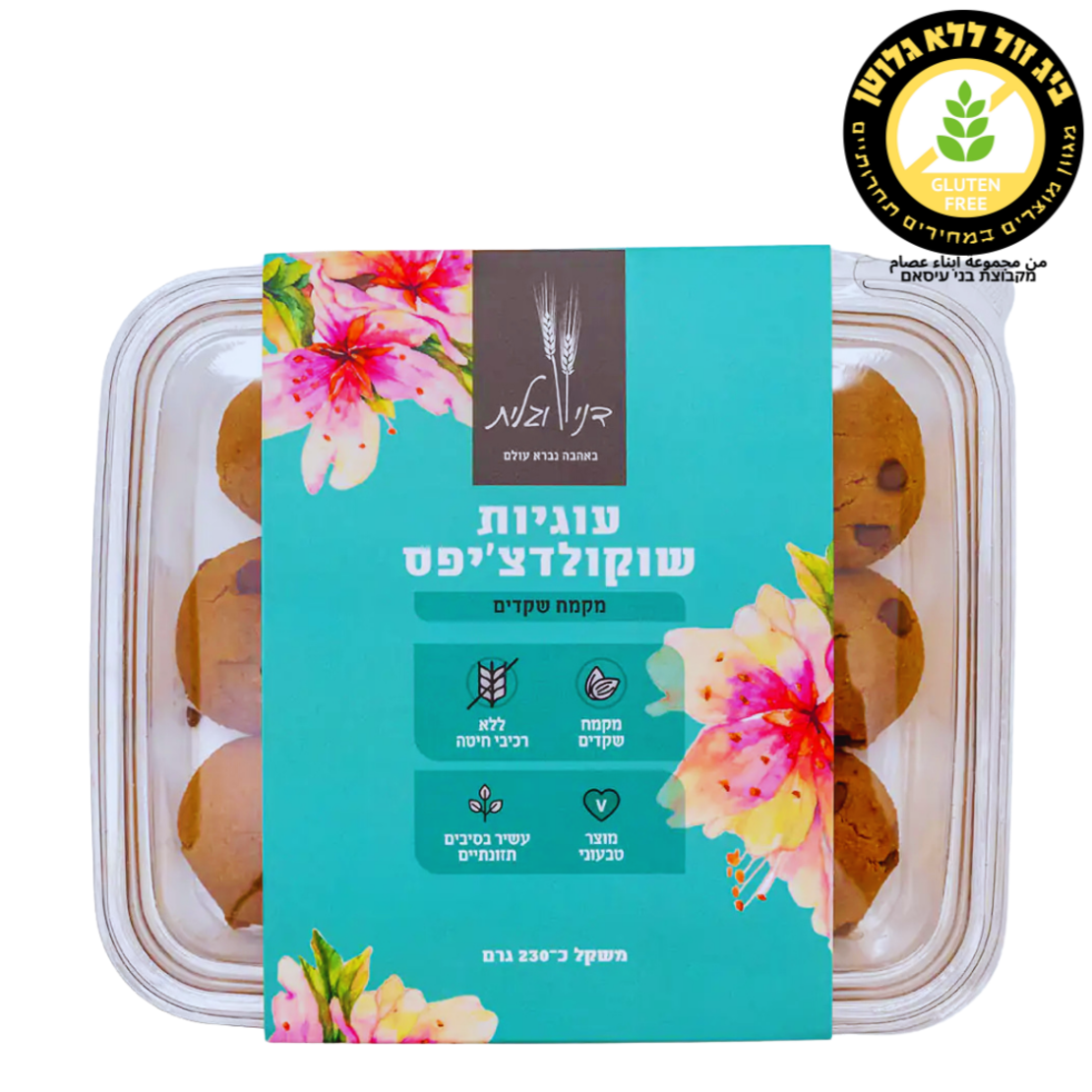 עוגיות שוקולדצ'יפס דני וגלית