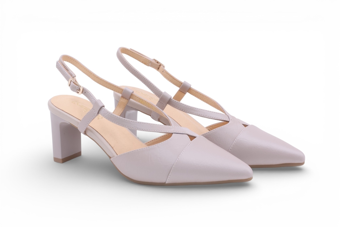 דגם לודוביקה