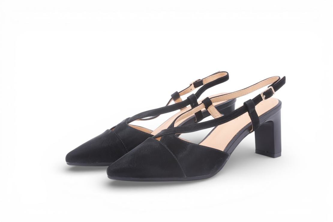 דגם לודוביקה