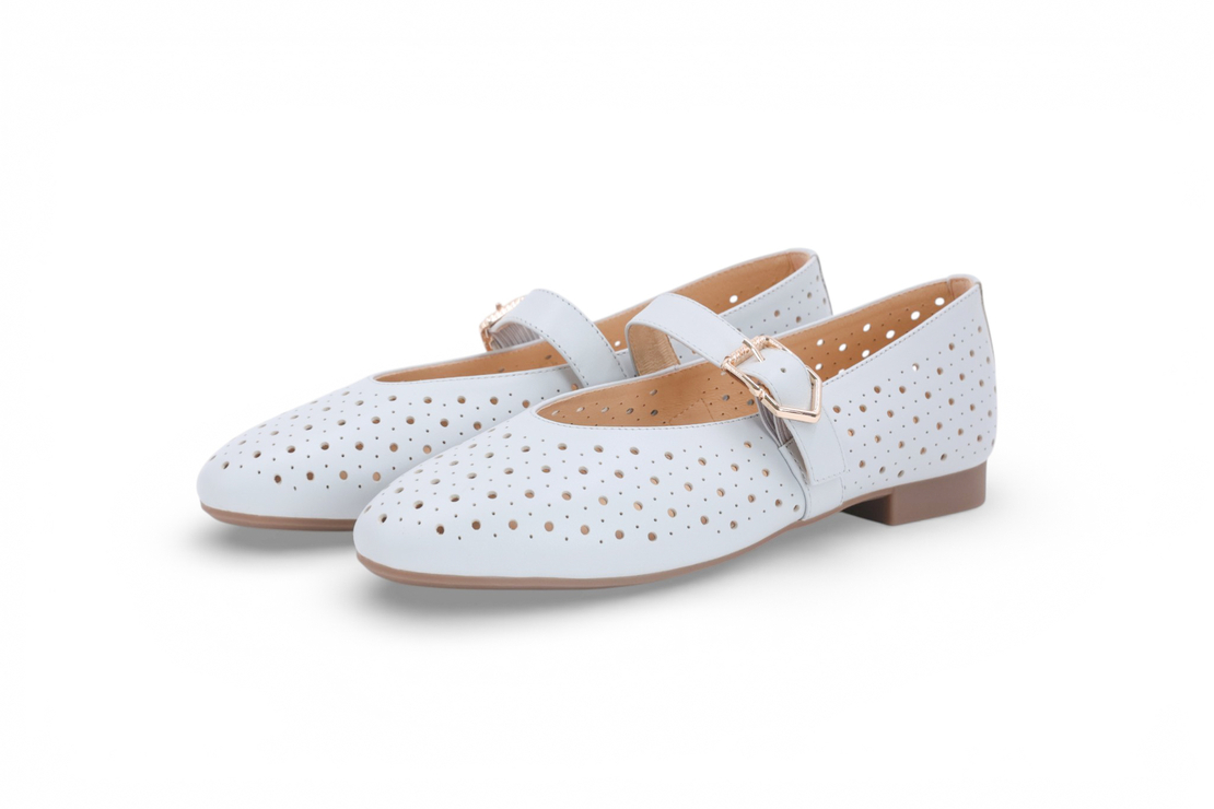 דגם אלינורה