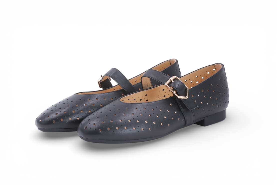 דגם אלינורה