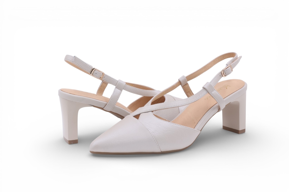 דגם לודוביקה