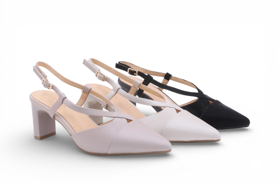 דגם לודוביקה