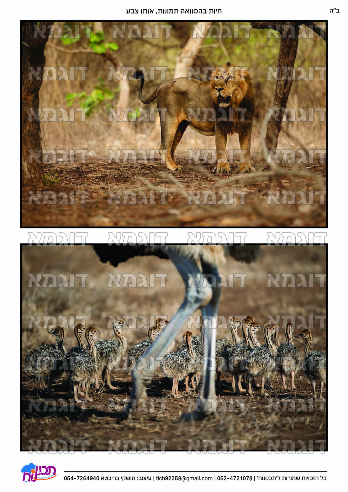 קבצי עזר לתכנונוח חלק 7