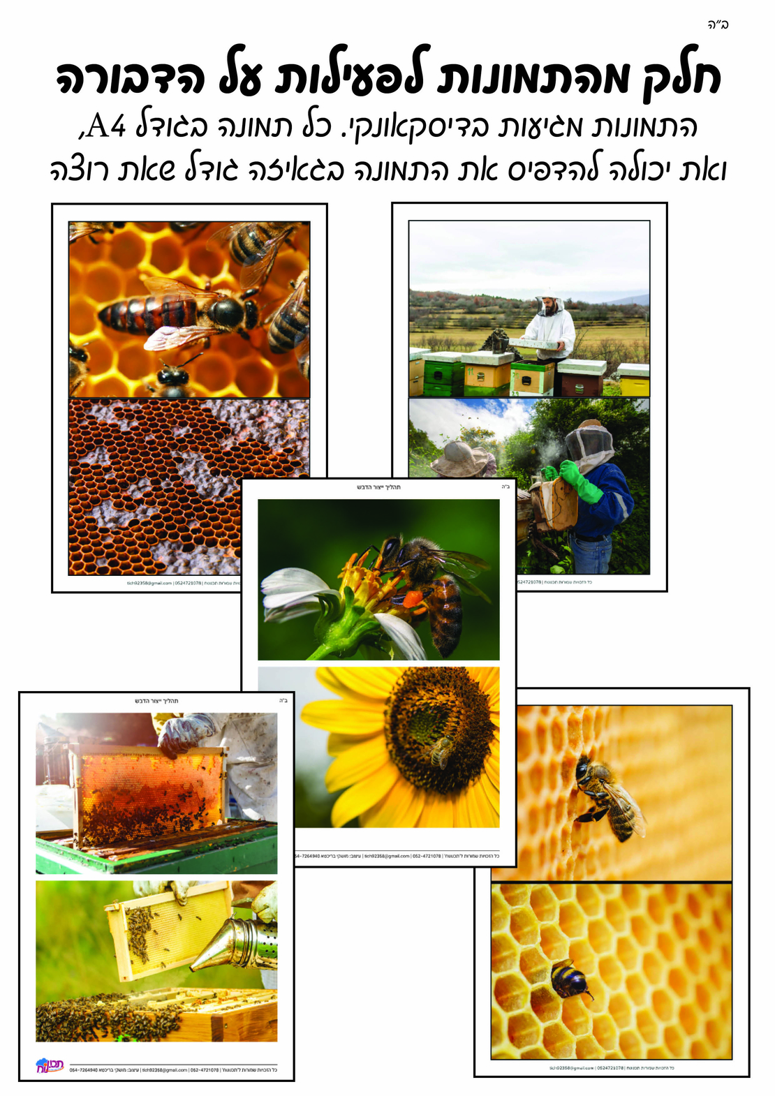 מאגר תמונות לחוברת טבע חלק א'