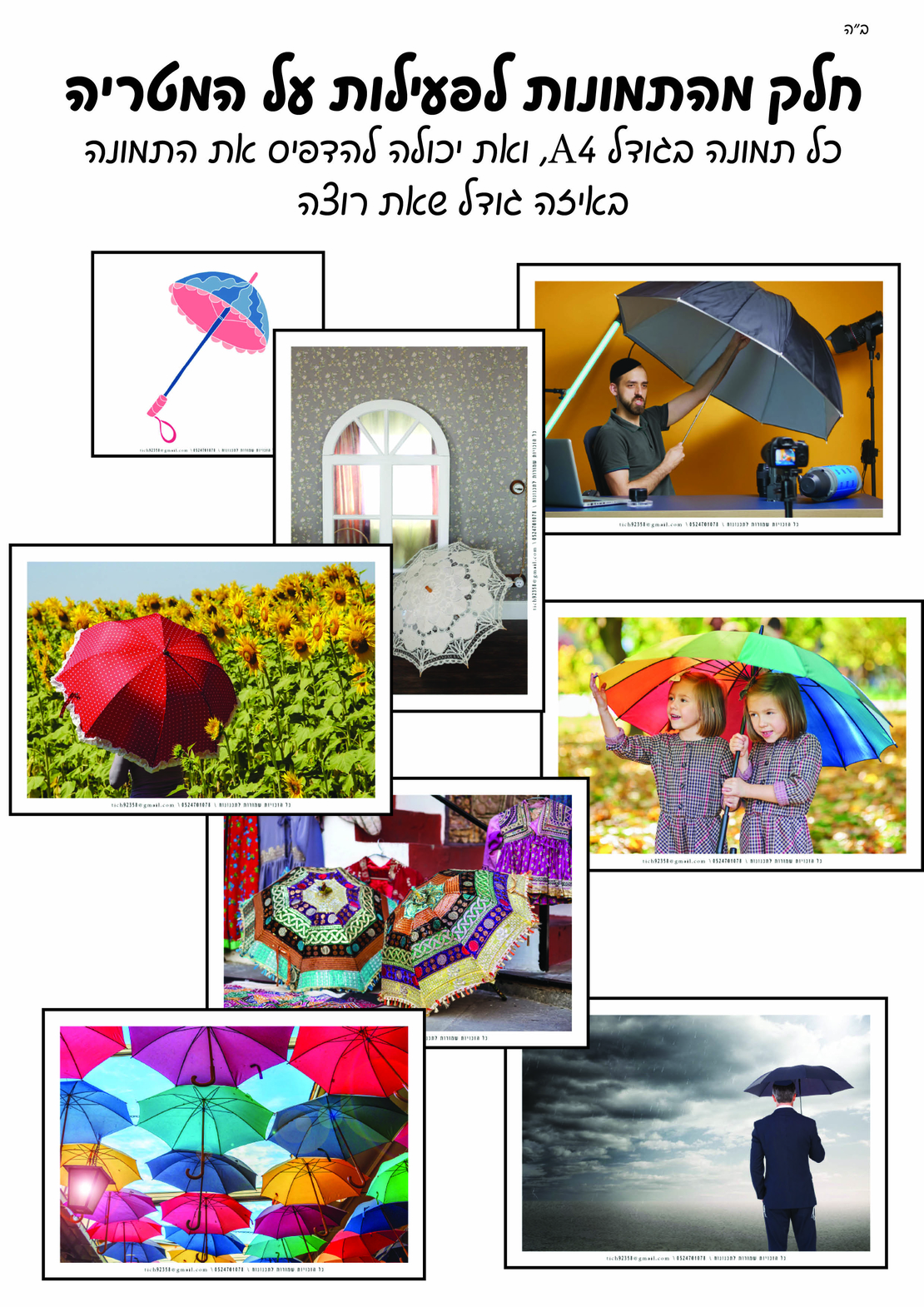 מאגר תמונות לסדרת טבע לכל הסדרה