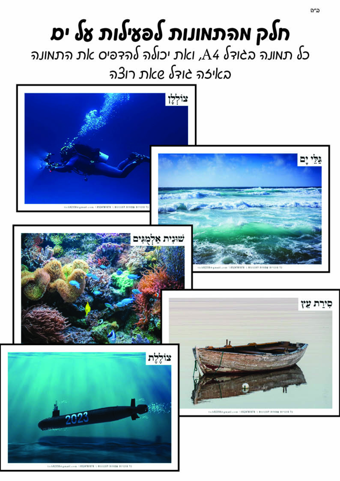 מאגר תמונות לחוברת טבע חלק ד'