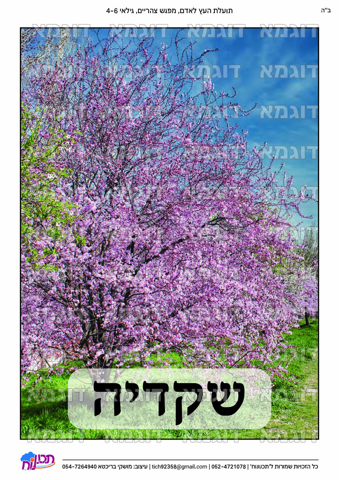 קבצי עזר לתכנונוח חלק 6