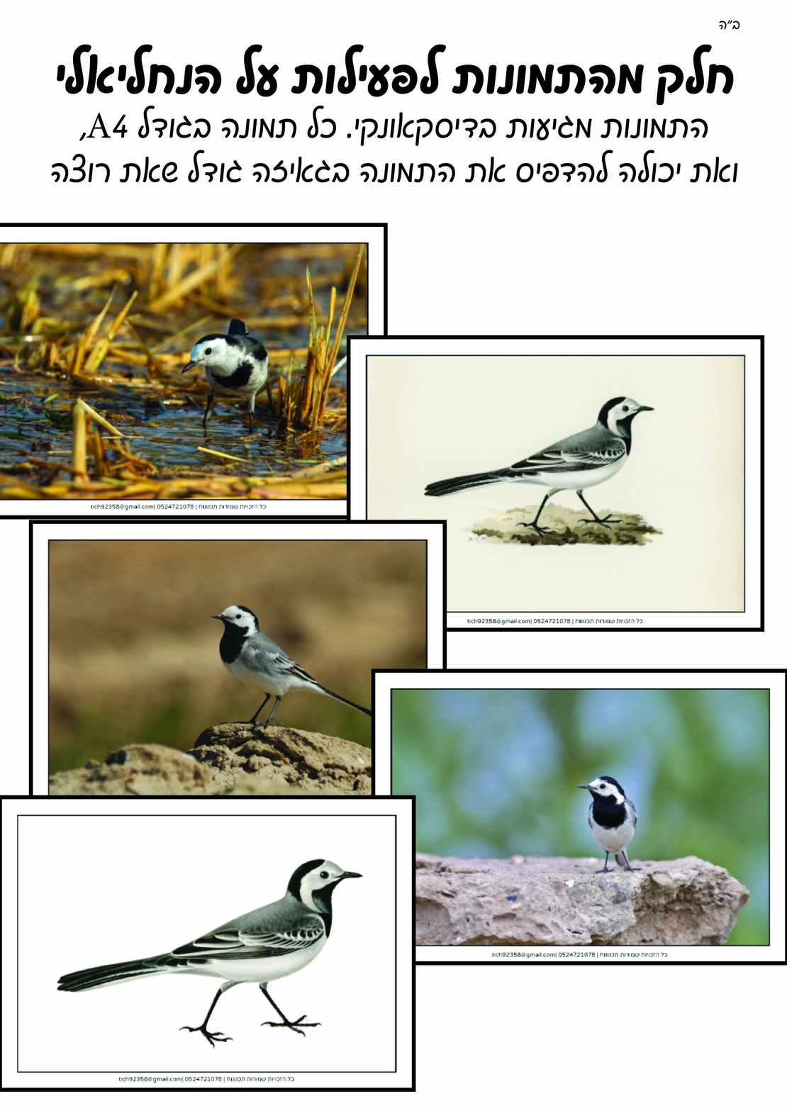 מאגר תמונות לחוברת טבע חלק א'
