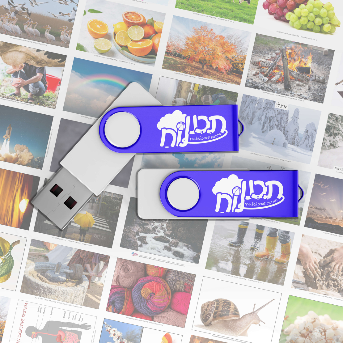 מאגר תמונות לסדרת טבע לכל הסדרה