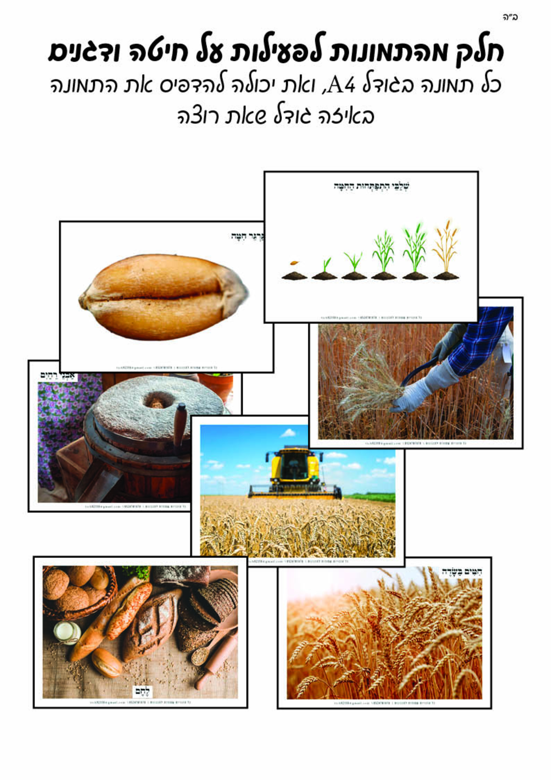 מאגר תמונות לחוברת טבע חלק ד'