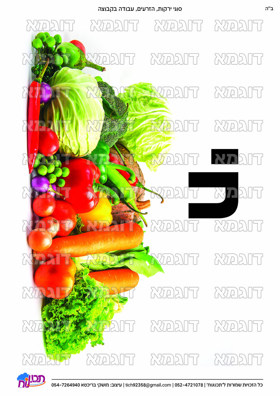 קבצי עזר לתכנונוח חלק 3