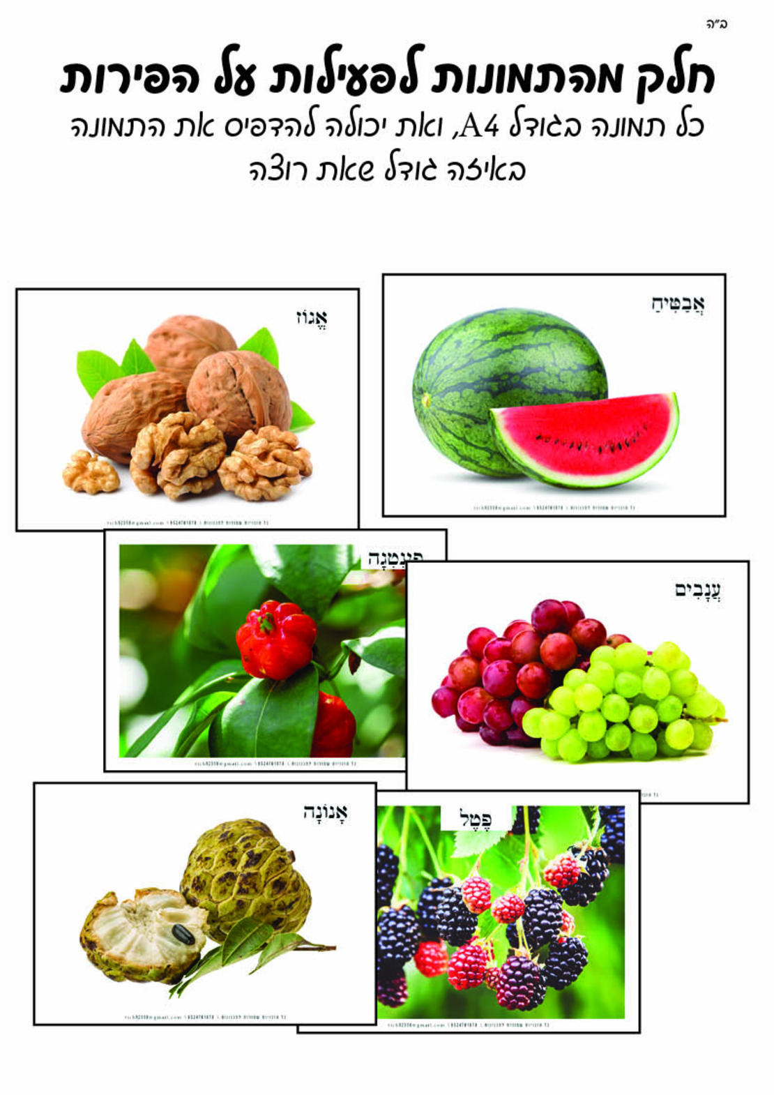 מאגר תמונות לחוברת טבע חלק ג'