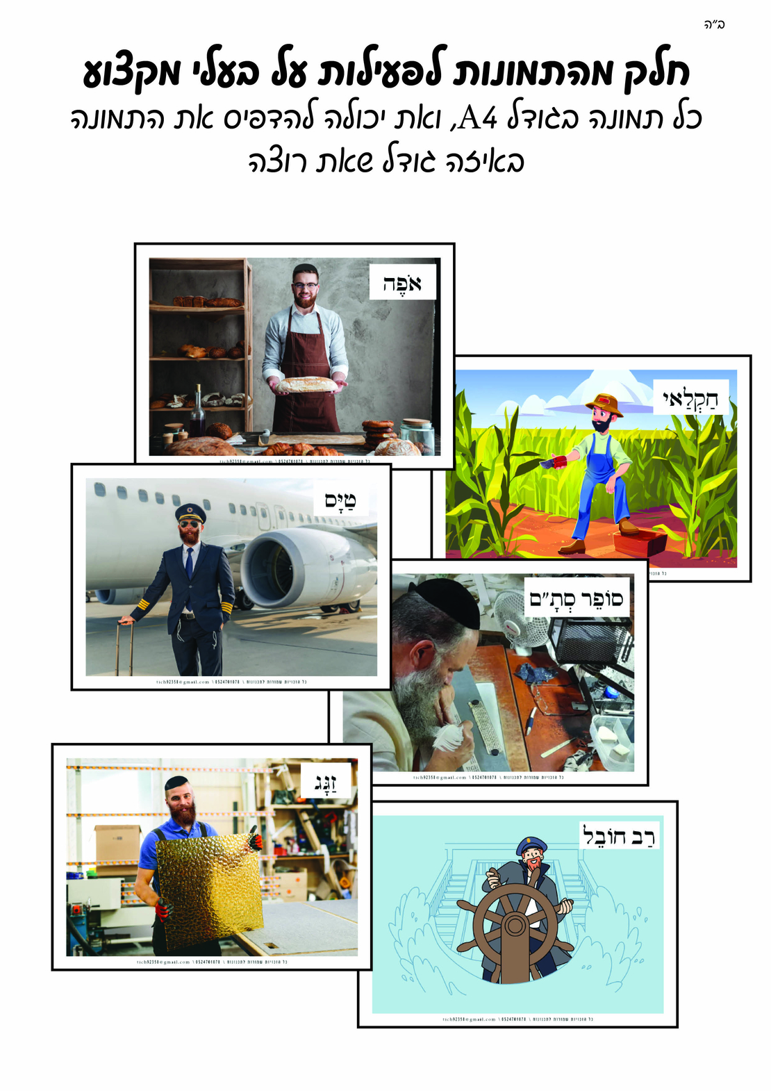 מאגר תמונות לסדרת טבע לכל הסדרה
