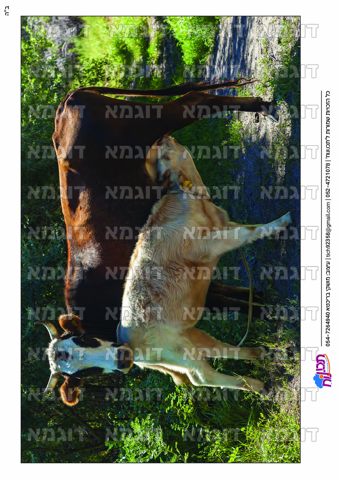 קבצי עזר לתכנונוח חלק 9