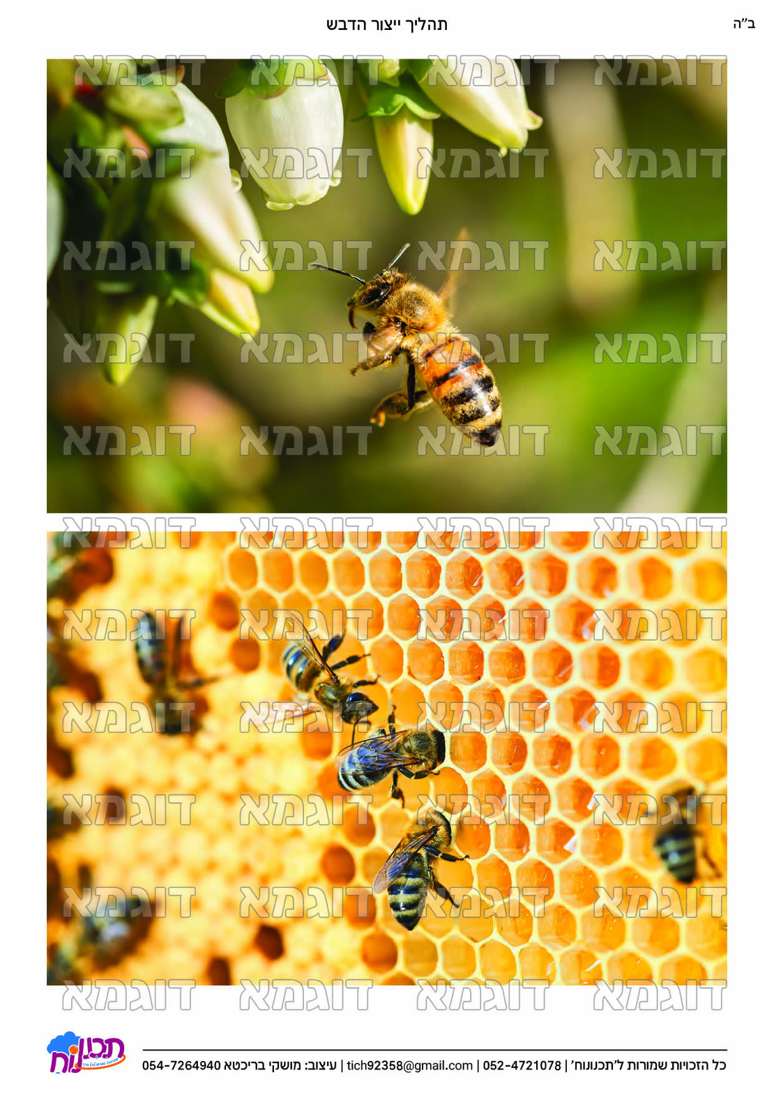 קבצי עזר לתכנונוח חלק 1