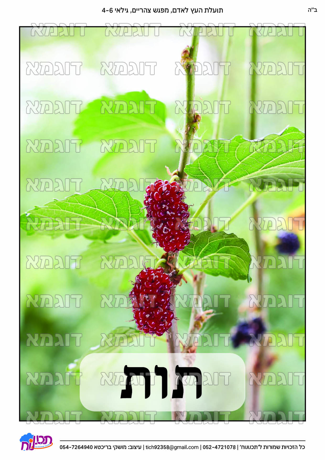קבצי עזר לתכנונוח חלק 6