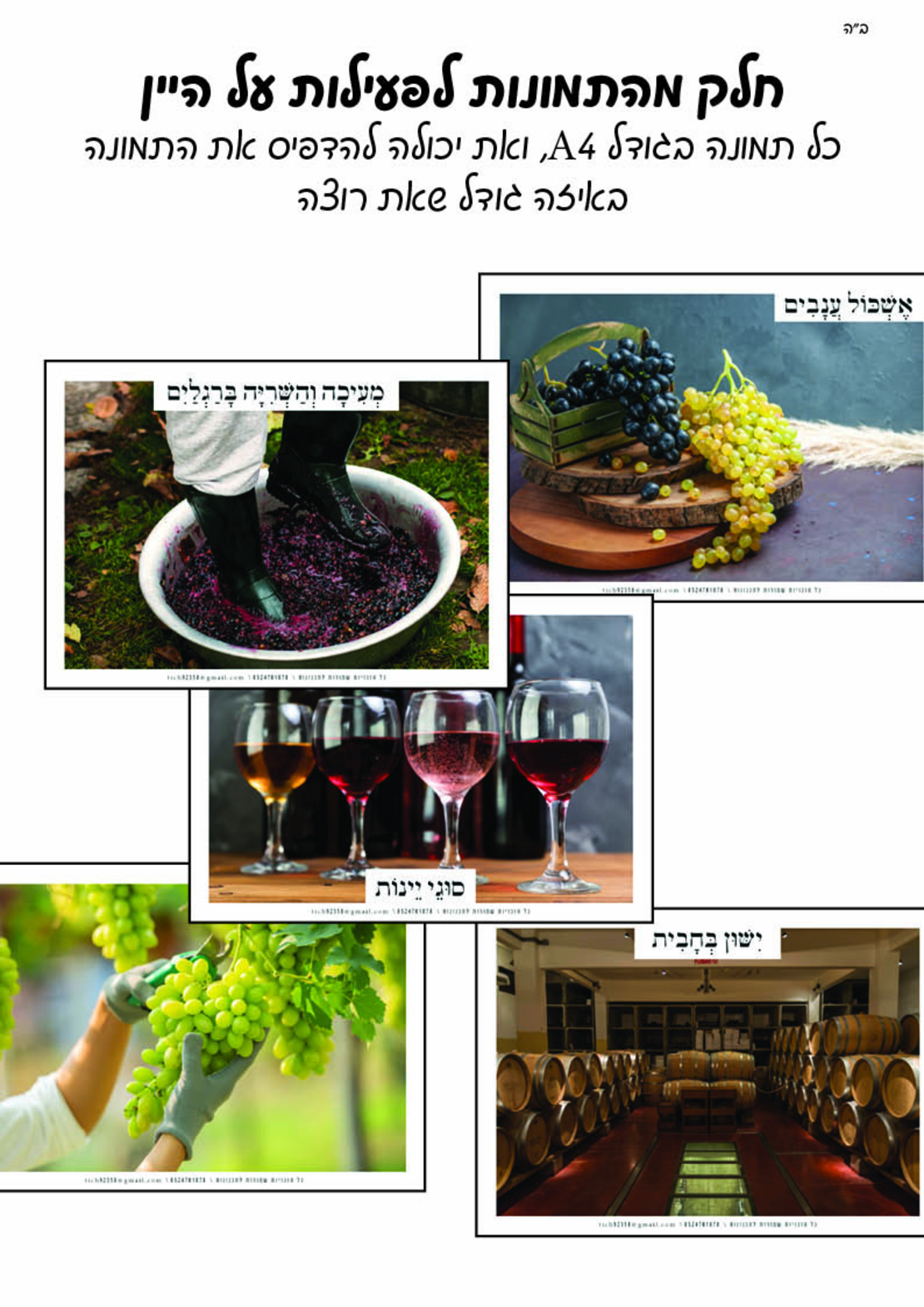 מאגר תמונות לחוברת טבע חלק ד'